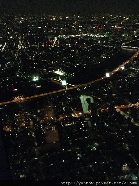 夜景