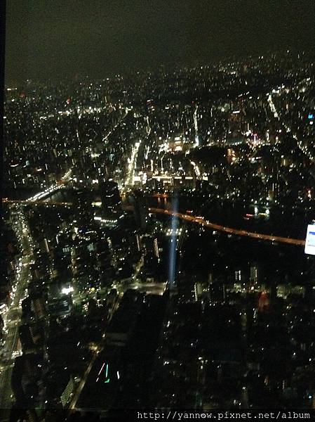 夜景
