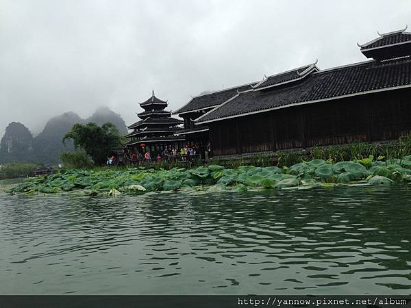 IMG_1342.jpg