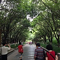 IMG_1467.jpg