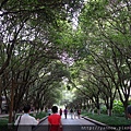 DSC02097.JPG