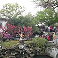 IMG_3415.JPG