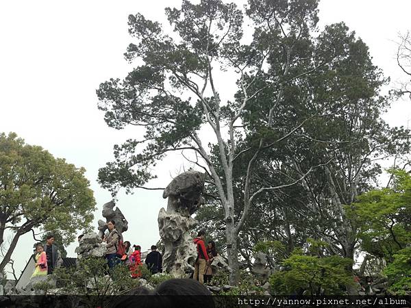 IMG_3418.JPG