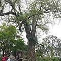 IMG_3420.JPG