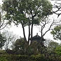 IMG_3543.JPG