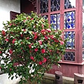 IMG_3550.JPG