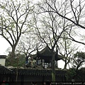 IMG_3556.JPG
