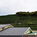 DSC_0010~1_調整大小.jpg