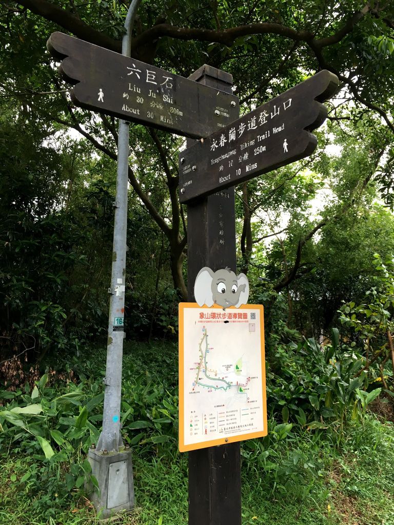 【東遊】台北。信義｜象山親山步道、四四南村（3條登山步道介紹