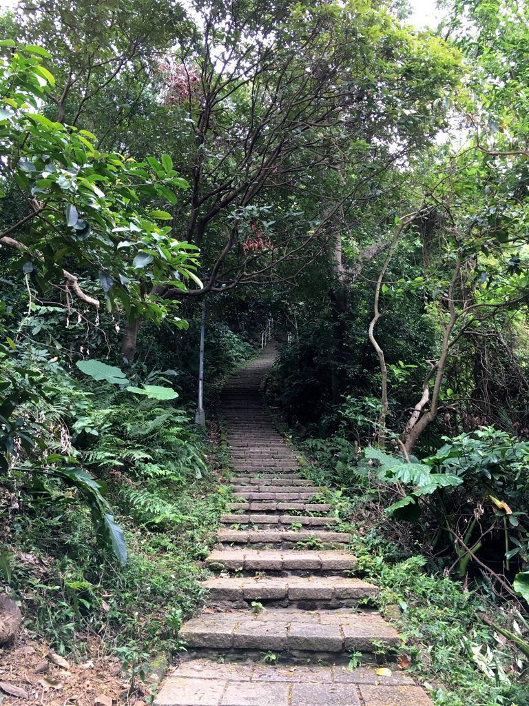 【東遊】台北。信義｜象山親山步道、四四南村（3條登山步道介紹