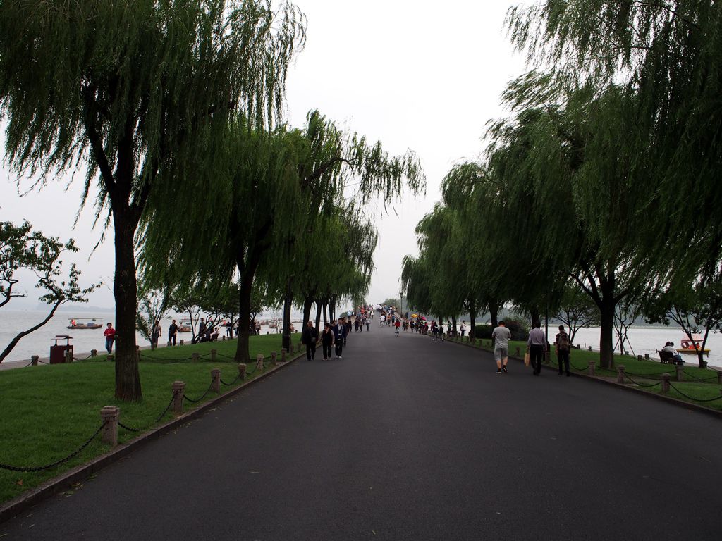 PA260611.JPG