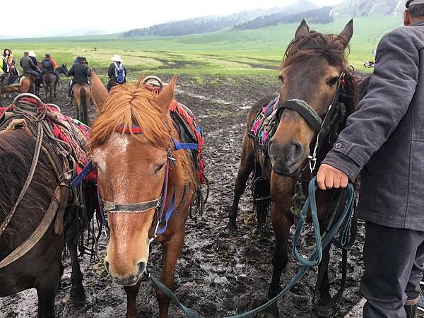 IMG_1647.JPG IMG_1647.JPG