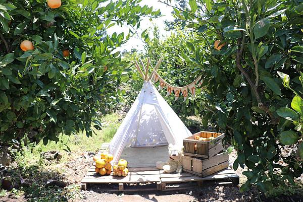 IMG_0426.JPG IMG_0426.JPG