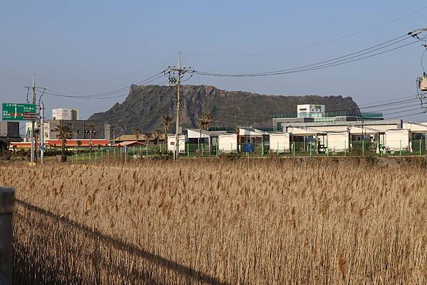 IMG_0614.JPG IMG_0614.JPG