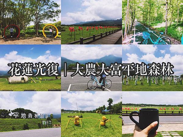 【東遊】2018花蓮光復/「大農大富平地森林」騎鐵馬半日遊,尋找宮崎駿《龍貓》神秘隧道