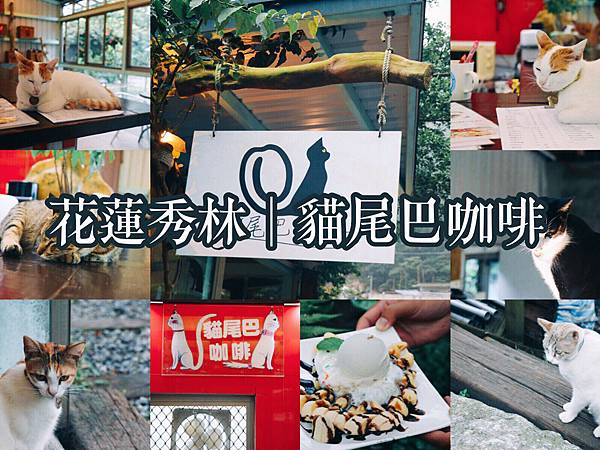 【東食】2018花蓮秀林/面山望海的隱密猴硐樂園「貓尾巴咖啡」 和療癒貓店長喝杯午茶吧
