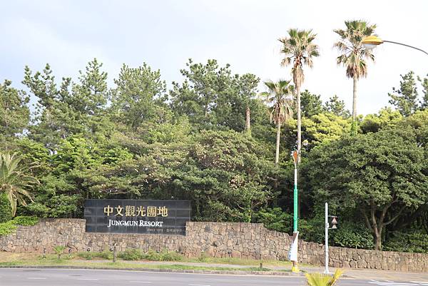 【東遊】濟州景點-香蕉牛奶咖啡廳超可愛 中文觀光園區(중문관광단지) 拍美照吧!