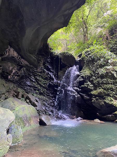 【東遊】三民蝙蝠洞步道｜桃園景點推薦：親山健行享受芬多精！入