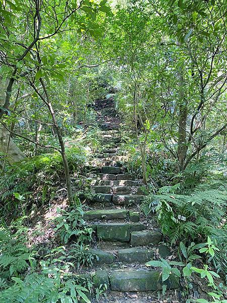 【東遊】富陽自然生態公園+福州山步道｜台北爬山景點推薦：台北