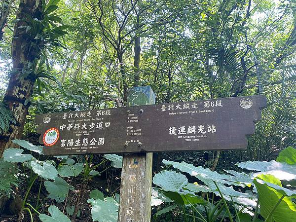 【東遊】富陽自然生態公園+福州山步道｜台北爬山景點推薦：台北