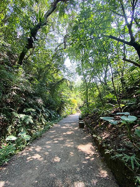 【東遊】富陽自然生態公園+福州山步道｜台北爬山景點推薦：台北