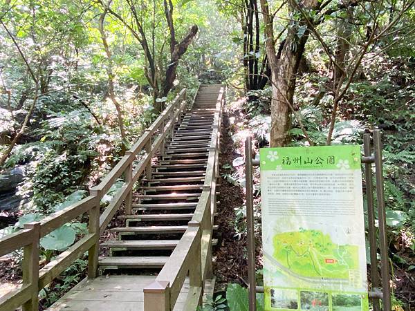 【東遊】富陽自然生態公園+福州山步道｜台北爬山景點推薦：台北