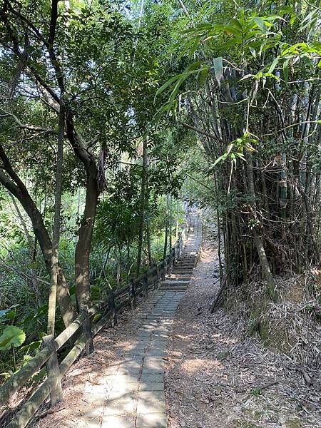 【東遊】福源山步道｜桃園景點推薦：全程2.2公里！攻頂眺望「