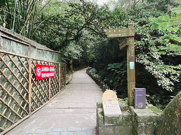 【東遊】虎山親山步道｜台北爬山景點推薦：松山慈惠堂入口開走！