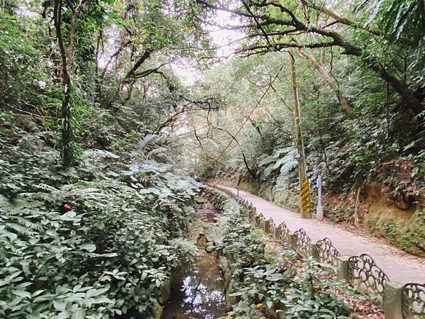 【東遊】虎山親山步道｜台北爬山景點推薦：松山慈惠堂入口開走！