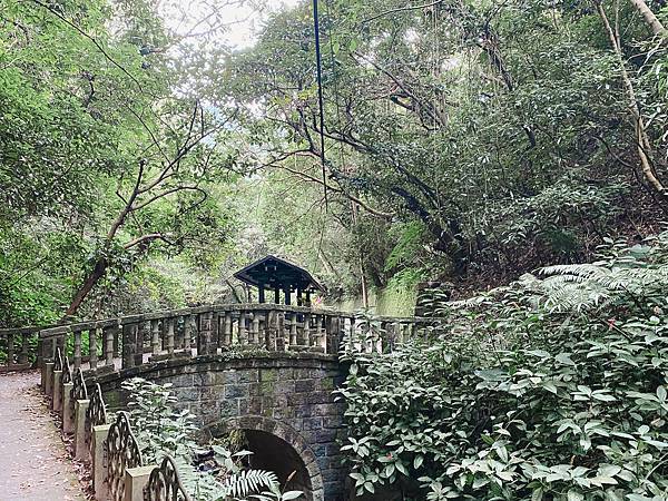 【東遊】虎山親山步道｜台北爬山景點推薦：松山慈惠堂入口開走！