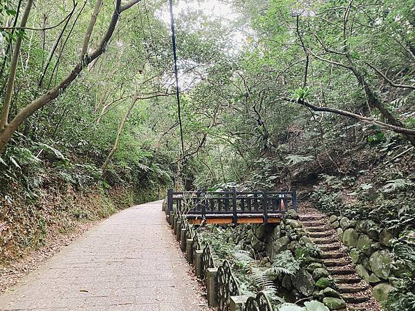 【東遊】虎山親山步道｜台北爬山景點推薦：松山慈惠堂入口開走！