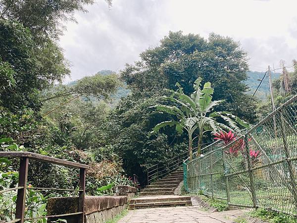 【東遊】虎山親山步道｜台北爬山景點推薦：松山慈惠堂入口開走！