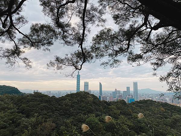 【東遊】虎山親山步道｜台北爬山景點推薦：松山慈惠堂入口開走！