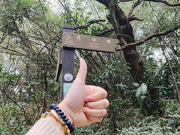 【東遊】虎山親山步道｜台北爬山景點推薦：松山慈惠堂入口開走！