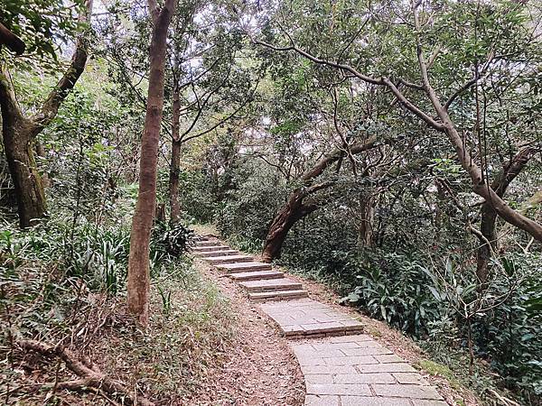 【東遊】虎山親山步道｜台北爬山景點推薦：松山慈惠堂入口開走！