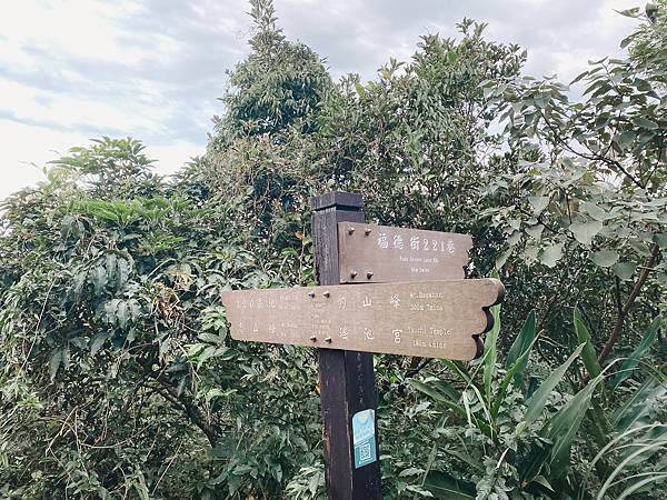 【東遊】虎山親山步道｜台北爬山景點推薦：松山慈惠堂入口開走！