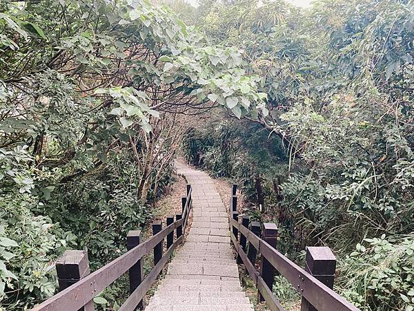 【東遊】虎山親山步道｜台北爬山景點推薦：松山慈惠堂入口開走！