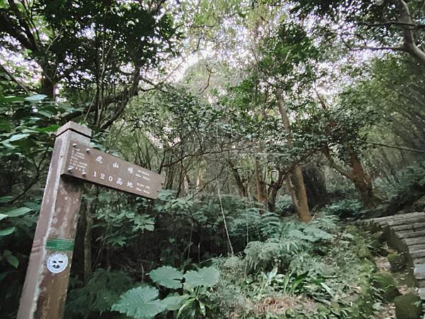 【東遊】虎山親山步道｜台北爬山景點推薦：松山慈惠堂入口開走！