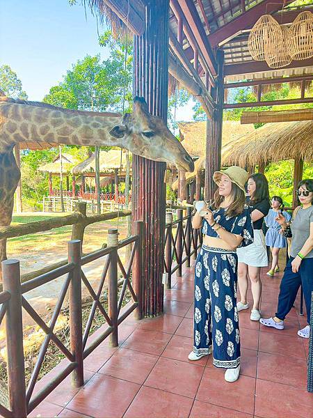 【東遊】越南｜前進越南最大野生動物園餵長頸鹿超好玩！富國大世