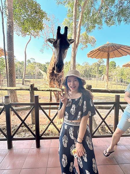 【東遊】越南｜前進越南最大野生動物園餵長頸鹿超好玩！富國大世