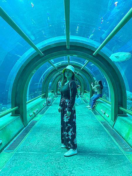 【東遊】越南｜越南最大水族館建築是「巨大海龜」太酷！越南版迪