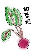 甜菜根