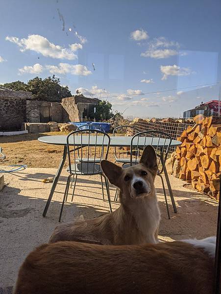 IMG_20191130_135507.jpg IMG_20191130_135507.jpg