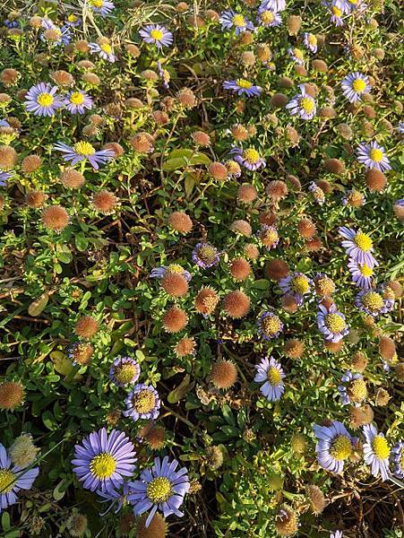 IMG_20191130_161031.jpg IMG_20191130_161031.jpg