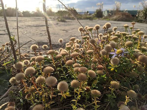 IMG_20191130_160633.jpg IMG_20191130_160633.jpg