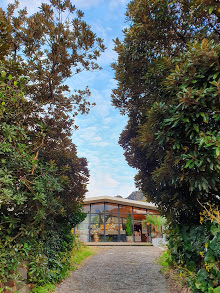 20191130_164418.jpg 20191130_164418.jpg