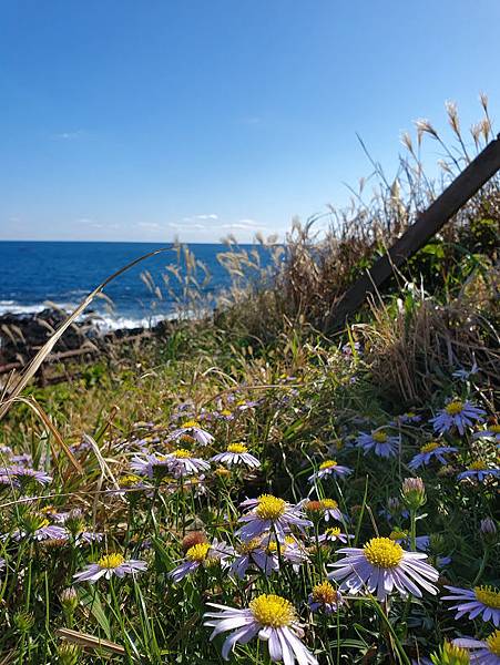 20191130_123754.jpg 20191130_123754.jpg