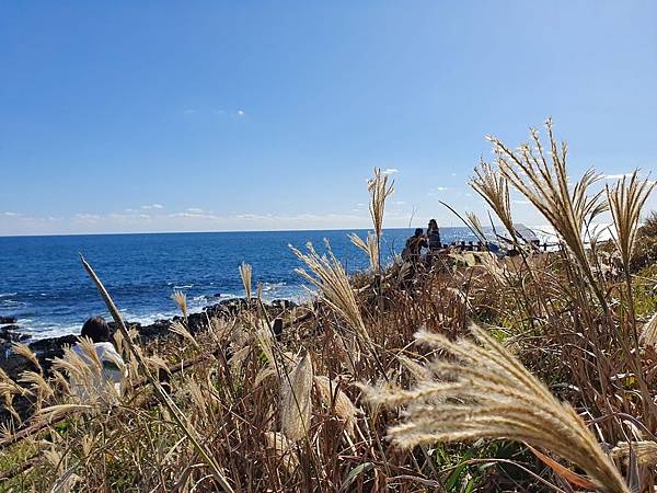 20191130_123829.jpg 20191130_123829.jpg