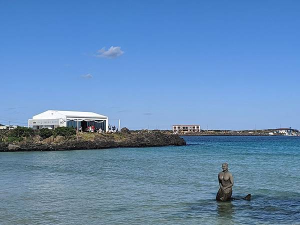 IMG_20191130_133801.jpg IMG_20191130_133801.jpg