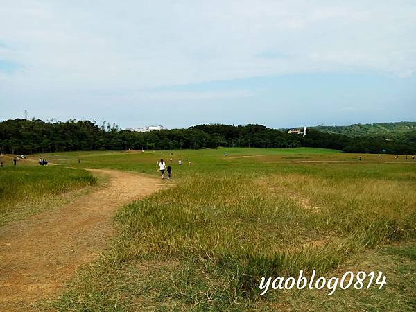 青青草原 (1).jpg